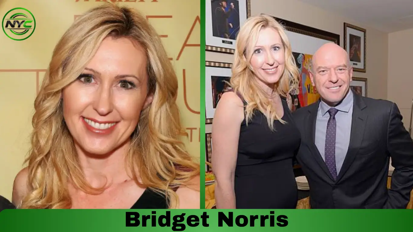 Bridget Norris, wife of actor Dean Norris