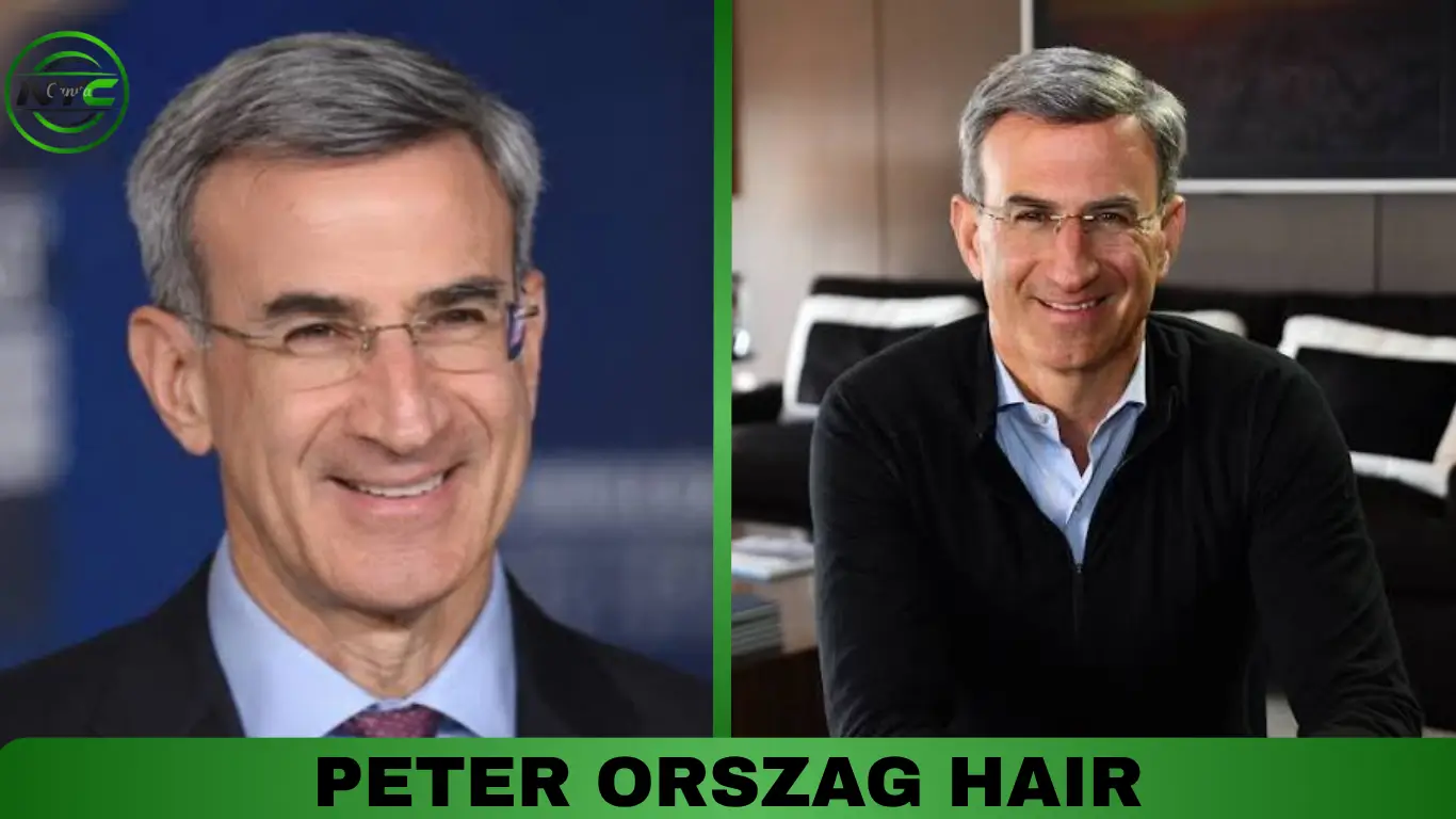 Peter Orszag Hair hairstyle and gray hair appearance